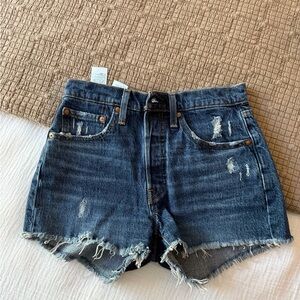 Distressed Blue Denim Women Shorts